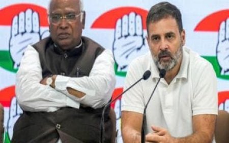 CWC rejig: Key takeaways from the changes made by Congress chief Mallikarjun Kharge