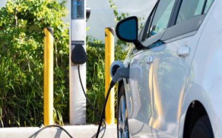 India goes bullish on EVs, boasts 120% growth in EVs, 400% in hybrids