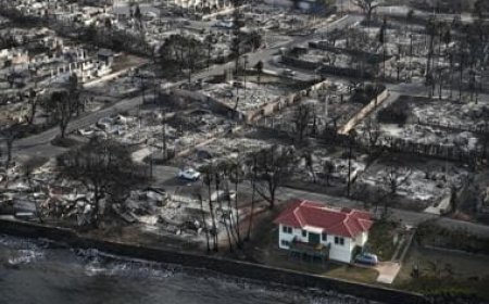 Hawaii Wildfires: When everything turned to ashes, THIS red-roofed house survived