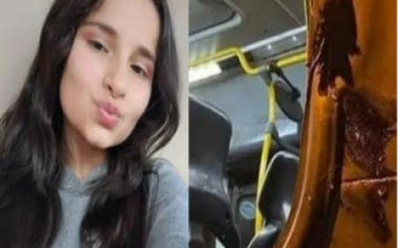 Brazil: School girl leans out of bus window to wave at friends, collides with concrete pole, dies