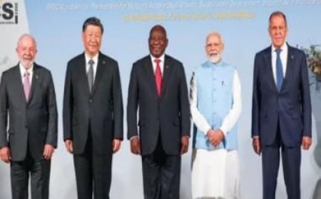 BRICS nations agree on expansion, says South African foreign minister