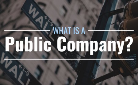 What is a public company? Definition, requirements & process