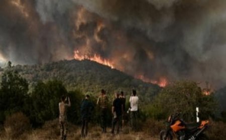 'Arsonist Scum': Wildfires raging in Greece prompt 79 arrests