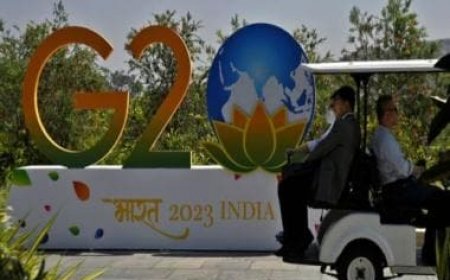 Russian President Vladimir Putin won't visit India for G20 summit