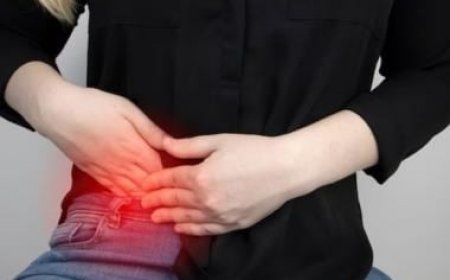 Your appendix isn't that vestigial, it may cause Parkinson's disease