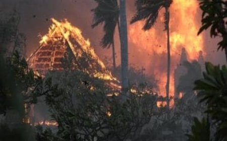 Maui wildfire: Names of 388 people still missing as search continues