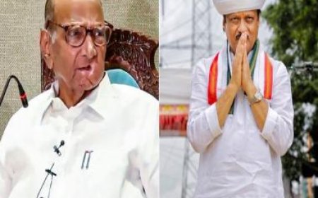 Split or not: What’s going on with the NCP?