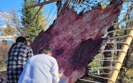 An apology to Indigenous communities sparks a mental health rethink