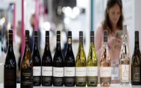 Why France will spend millions of euros to destroy wine