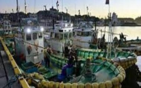 Japan says no radioactive isotope found in fish near Fukushima nuclear plant