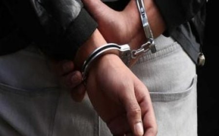 Pakistani doctor jailed for attempting to support ISIS, planning attacks in US