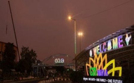 Paramilitary troops, sniffer dogs, anti-drone units: Delhi’s security prep for G20 summit