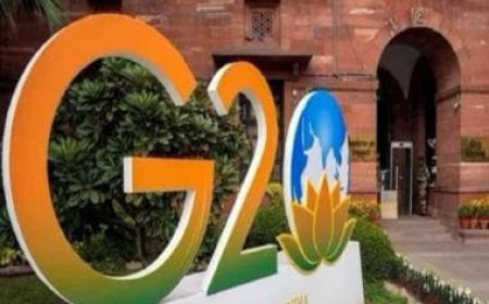 G20 LIVE Updates: G20 commemorative park in Delhi displays logo, flags of member nations
