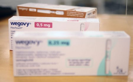 What we still don’t know about Wegovy’s effect on strokes and heart attacks