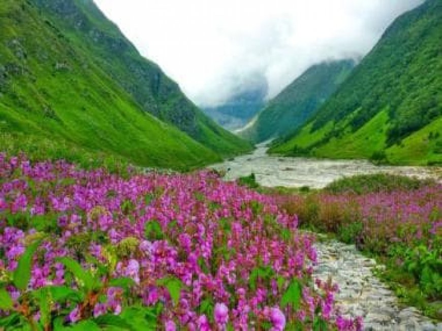 Friendship Day 2023: 10 beautiful destinations to travel with your friends