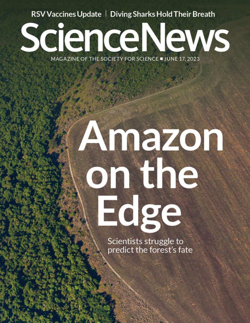 Readers react to a revamped insecticide and a chronic pain biomarker