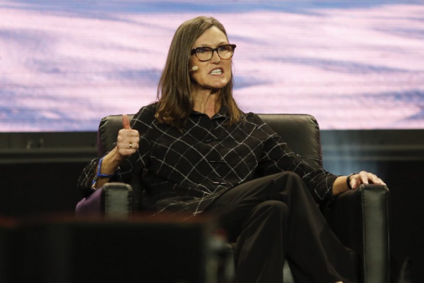 Cathie Wood dumps Tesla, loads up on more Archer Aviation