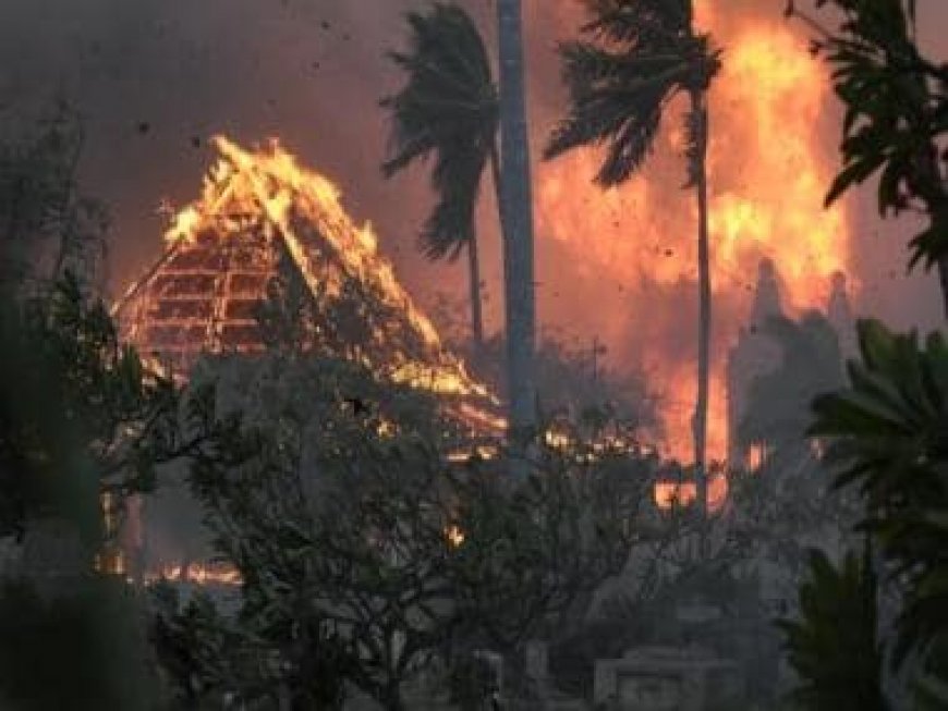 Maui wildfire: Names of 388 people still missing as search continues