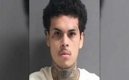 Florida man accused of carrying out multiple car break-ins arrested after flaunting stolen Mercedes on social media