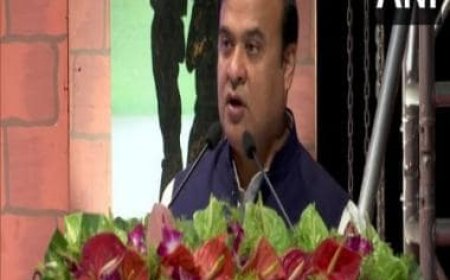 Assam CM Himanta Biswa Sarma discusses roadmap for complete withdrawal of AFSPA with Amit Shah