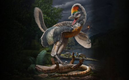 This newfound birdlike dinosaur had surprisingly long legs