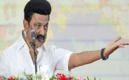 '...No intention to offend any religion': Tamil Nadu CM MK Stalin on son Udhayanidhi's 'Sanatan Dharma' remark