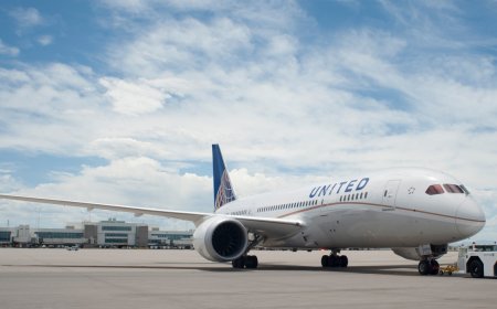 A United passenger actually tried to break into the cockpit and escape the plane