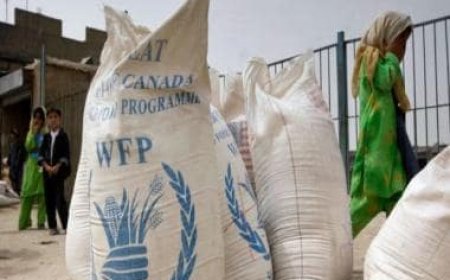 UN's World Food Program warns of ‘doom loop’ for world’s hungriest as governments slash aid