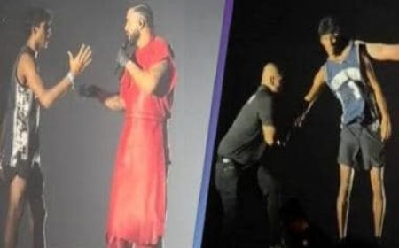 Singer and rapper Drake pushes a fan who jumped on the stage, is the security lacking?