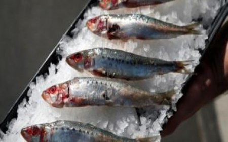 KNOW all about Botulism outbreak that killed French woman, hospitalised several in Bordeaux