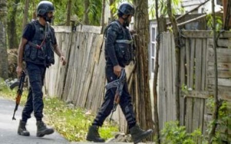 Drones, dogs, more troops: How security forces are circling terrorists in J&amp;K’s Anantnag