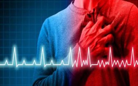 From the Eye to the Heart: Scientists develop AI tool to detect cardiac issues using just an eye scan