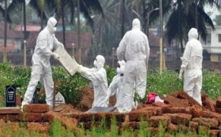 ‘Extremely high’: Mortality rate of 40-70% in Nipah virus cases, says ICMR DG