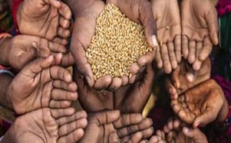 Global hunger worse today than in 2015, jeopardising UN goals: Report