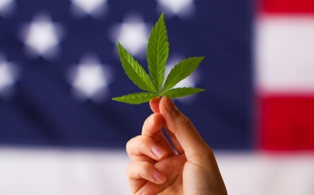 Safe Banking vote should come in 2 weeks