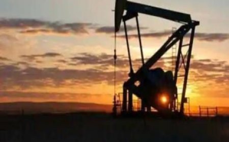 Govt hikes windfall tax on domestic crude, cuts levy on export of diesel, ATF