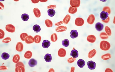 A catalog of all human cells reveals a mathematical pattern