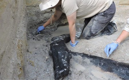 Interlocking logs may be evidence of the oldest known wooden structure