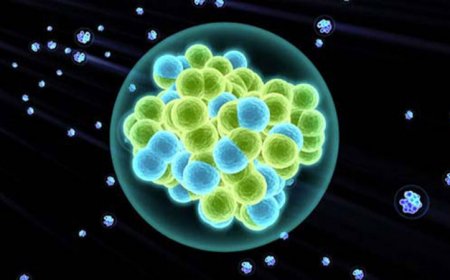 50 years ago, the quest for superheavy elements was just getting started