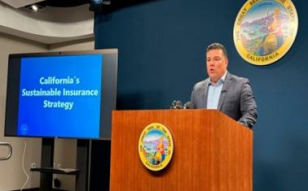 Wildfire-prone California to consider new rules for property insurance pricing