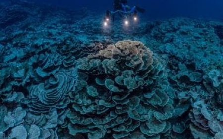 Playing With Fire: Scientists discover completely new species of virus at the deepest point on Earth