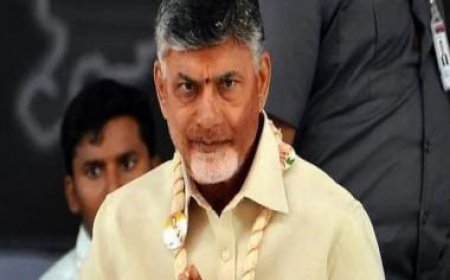 Andhra Pradesh high court dismisses Chandrababu Naidu’s plea to quash arrest