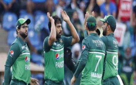 Pakistan only World Cup 2023 team yet to get visa for India: Report