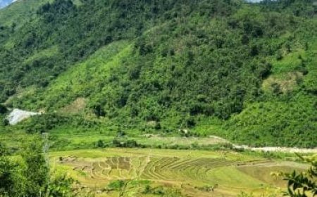 Inside Vietnam's plans to dent China's rare earths dominance