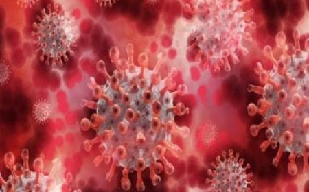 Inching closer to HIV cure: Indian researchers identify circular RNA, key to HIV-1 multiplication