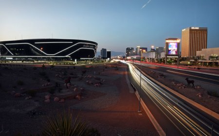 The entire Steelers team was on a plane forced to make an emergency landing