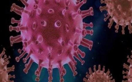 Deadlier than Covid-19, Disease X could be next pandemic, warns UK expert