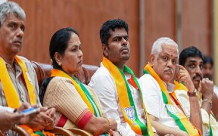 K Annamalai: The man behind AIADMK’s break-up with BJP