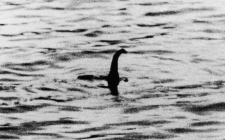 Seen Bigfoot or the Loch Ness Monster? Data suggest the odds are low