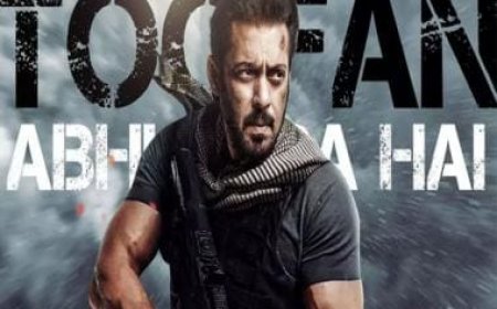 How Salman Khan paved way for Shah Rukh Khan and Hrithik Roshan for YRF's spy universe with 'Ek Tha Tiger'